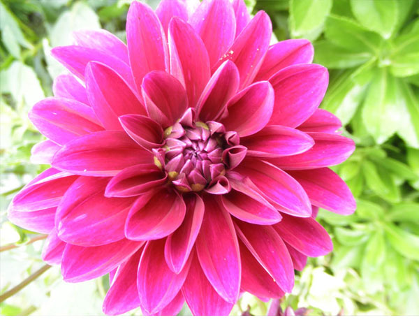 The full size document will appear here.